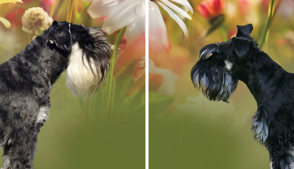 Rider of Famous Cubes und Biene