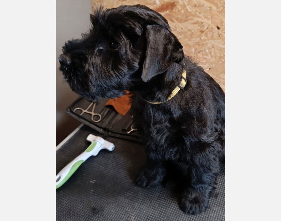 Betty von der Bienenkönigin